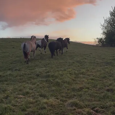 Au Domaine Du Moulin Du Pont Quarto em Acomodações Particulares Aurignac (Haute-Garonne)