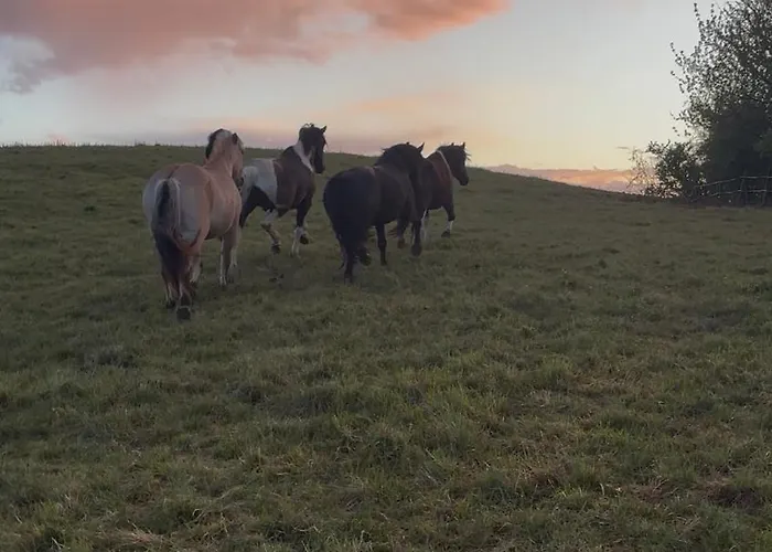 Au Domaine Du Moulin Du Pont ホームステイ オリニャック