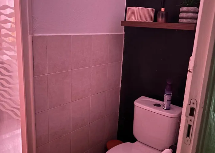 Au Domaine Du Moulin Du Pont ホームステイ